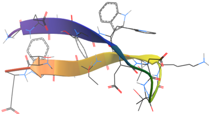 Calculated structure in gaz phase of the amyloid ? (12-28)